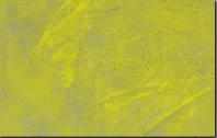 177063671220-Yellow.webp