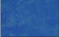 1770636880771-Blue.webp