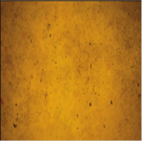 1770637788936-gold3_(copy).webp