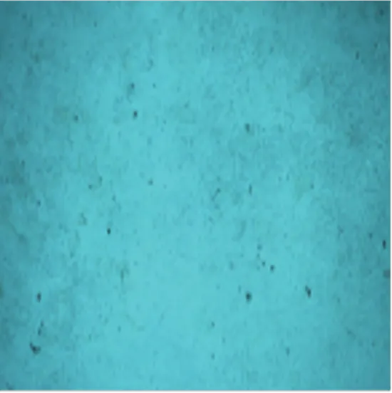 1770638045614-turquoise3_(copy).webp