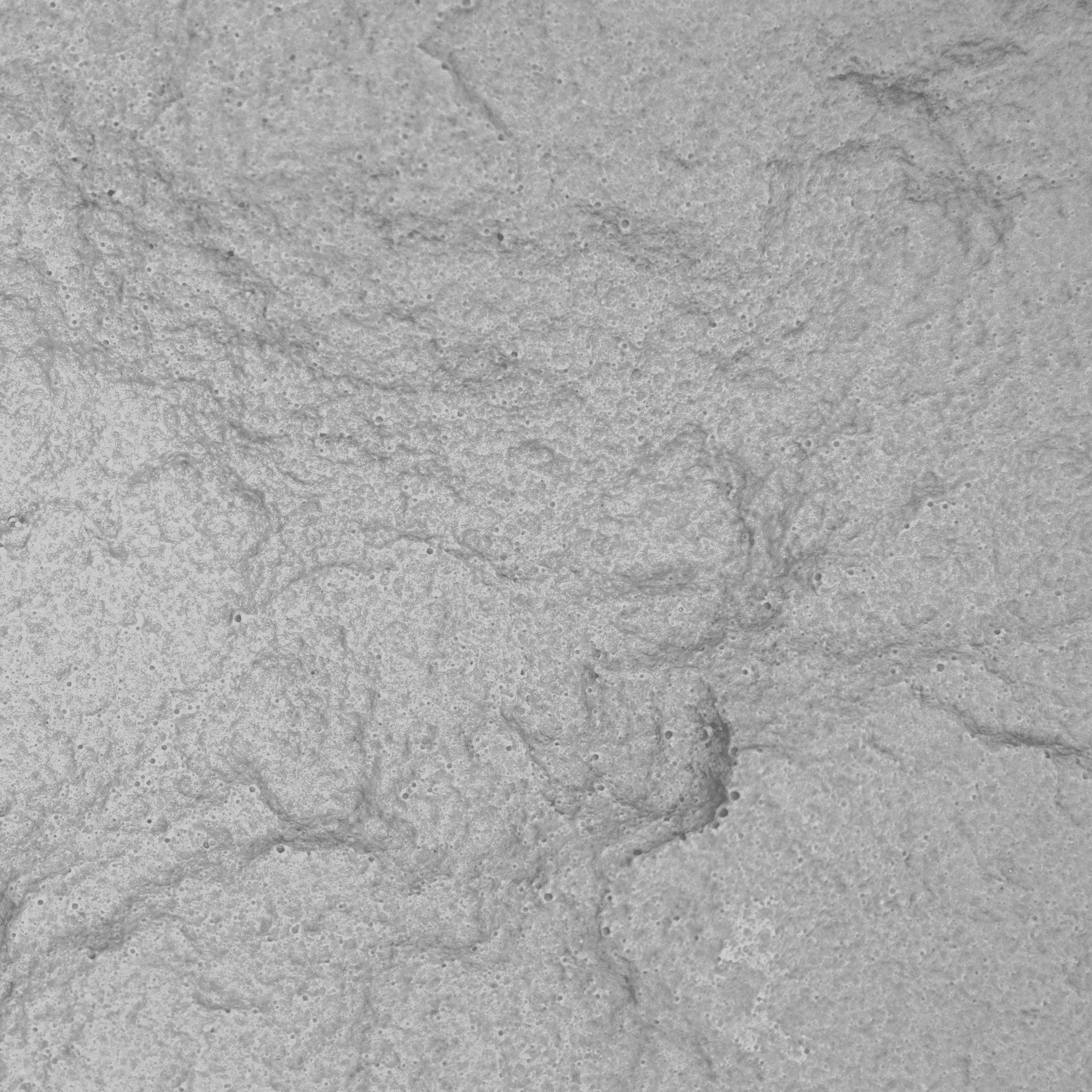 1770974292-5.5in-Split_Limestone_Liner_Deco-Crete-Liners-Decorative-Concrete-Stamps_03.webp