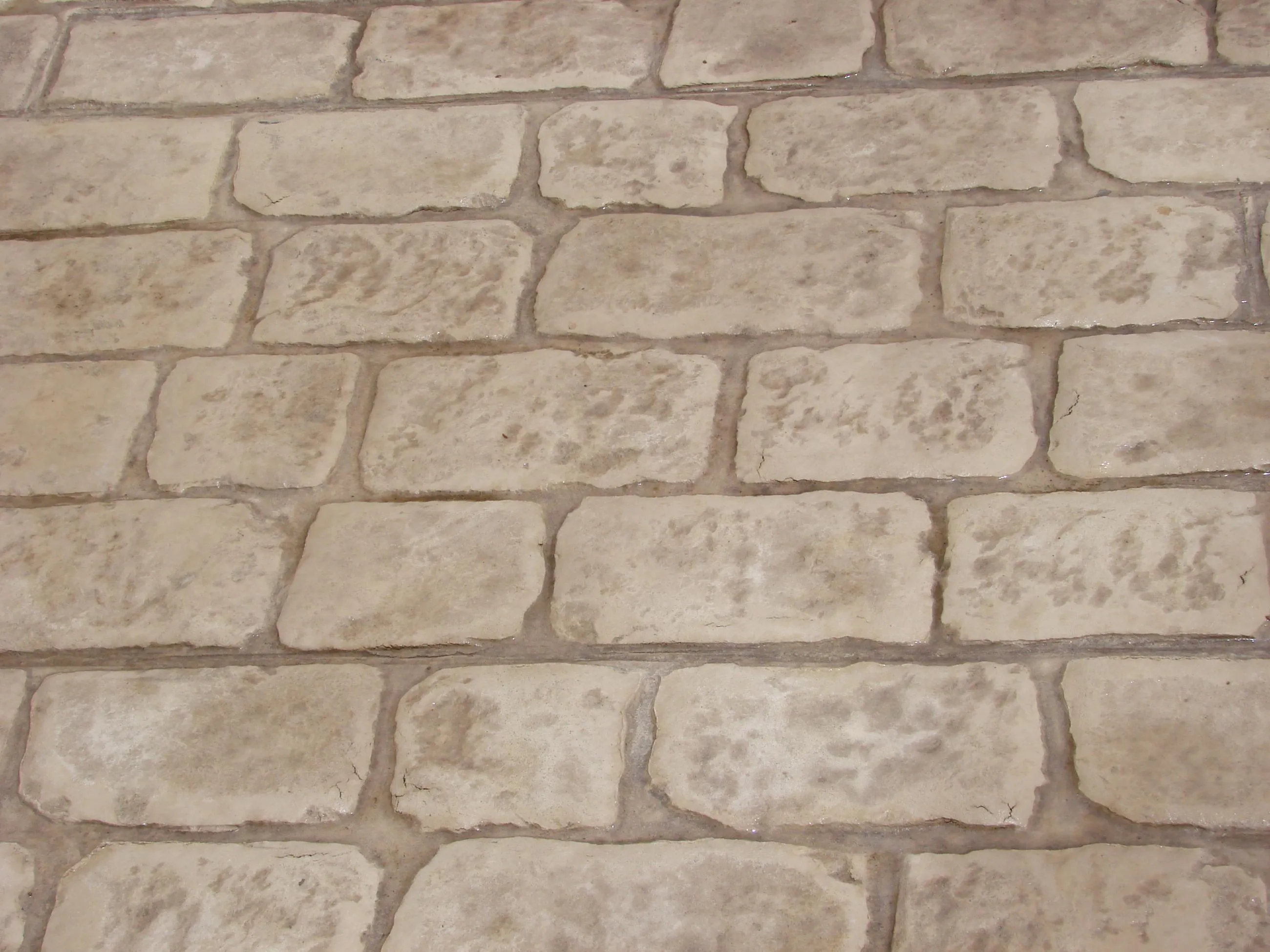 1772007007-DSC00729_0.webp