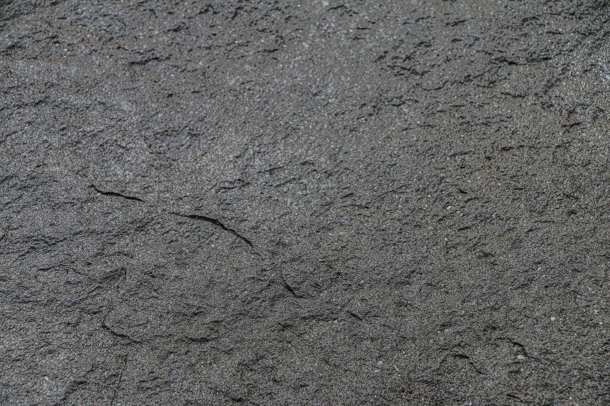 1772162186-IMG_1485.webp