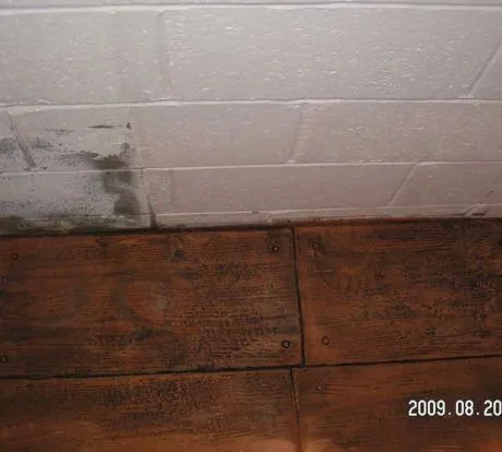 1772182372-pict0075.webp