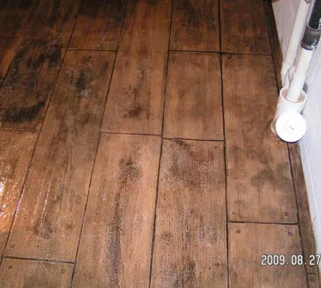 1772184257-pict0141.webp