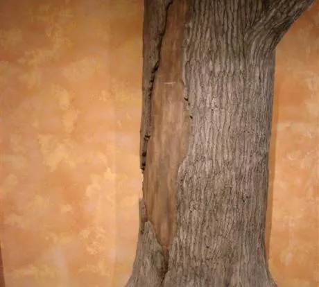 1772428312-dsc02218-medium.webp