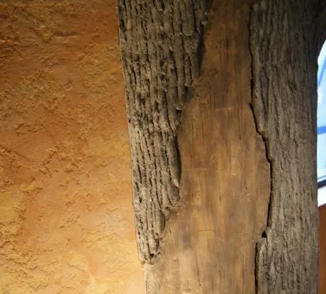 1772429044-dsc00136sm.webp