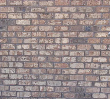 1772431358-dsc02287.webp