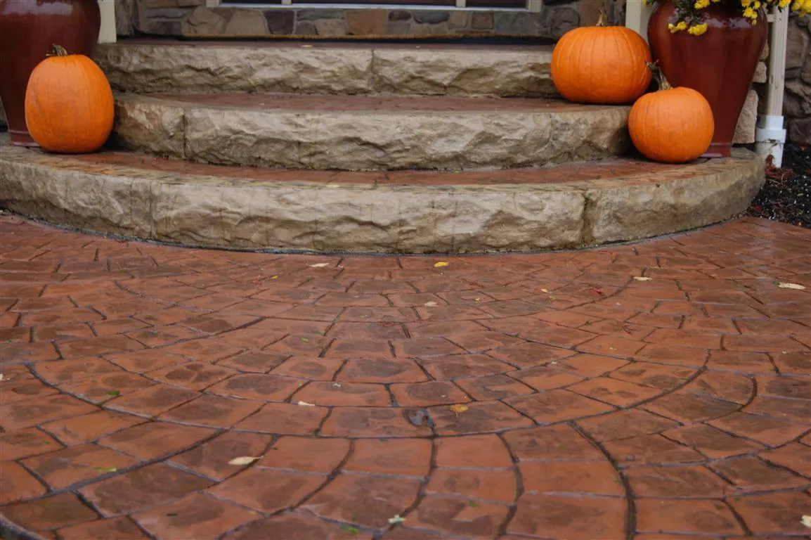 1772446318-dsc04153-medium-0.webp