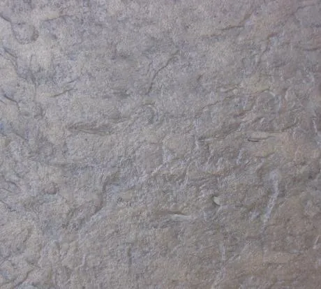 1772456398-stamped-design.webp