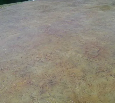 1772525892-dsc00992.webp