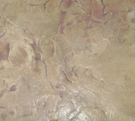 1772525892-dsc00996.webp