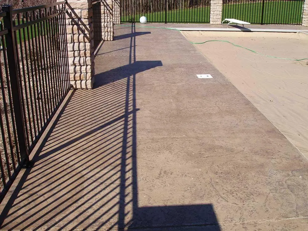 1772531063-p1010008.webp