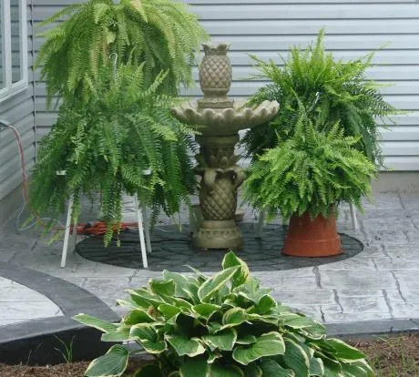 1772539101-stamped-stoop.webp